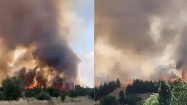 Ankara Yenimahalle'de Otluk Alanda Çıkan Yangın Korkuttu