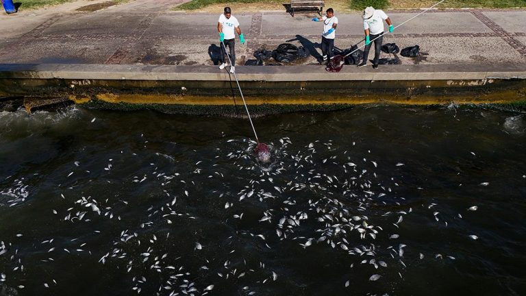 İzmir Körfezi Acil Eylem Planı hazırlanacak